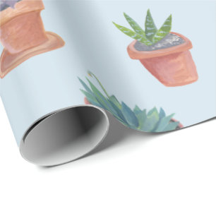 Succulents und Kakteen auf blauer Geschenkpapier