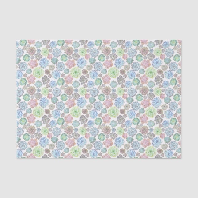 SucculentsSeidenpapier Seidenpapier (Vorderseite)