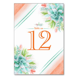 Succulus wasserfarbengrüne orangefarbene Tischnumm Tischnummer