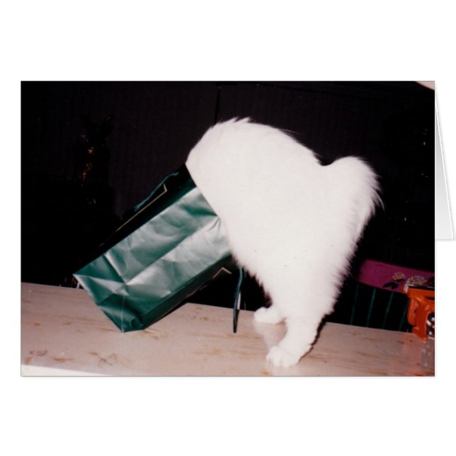 Suche (Vorderseite (Horizontal))