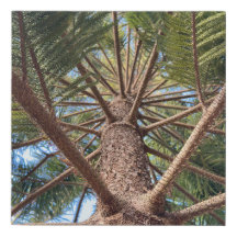 Suche nach einem Baumstamm