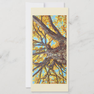 Suche nach einer Flachkarte