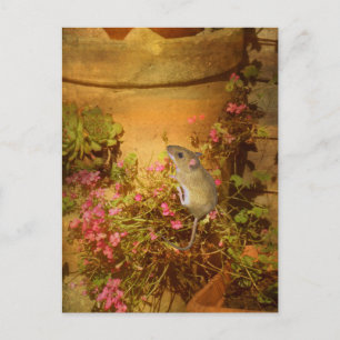 Suche nach einer Zuhause. Postkarte