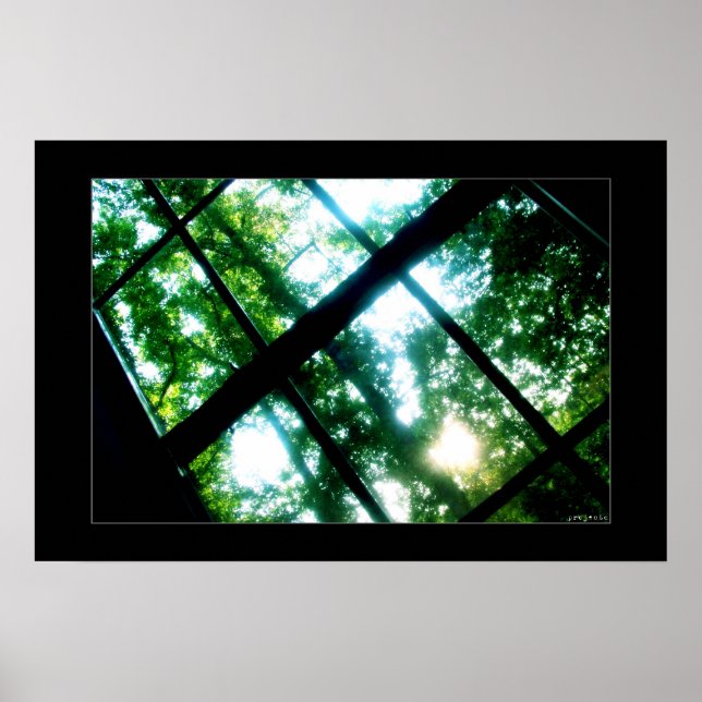 Suche nach Freiheit Poster (Vorne)