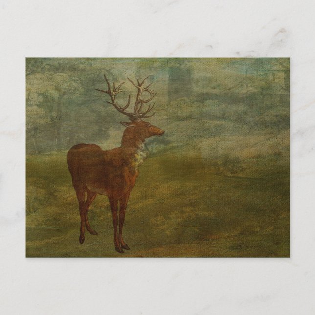 Suche nach Landseer Postkarte (Vorderseite)