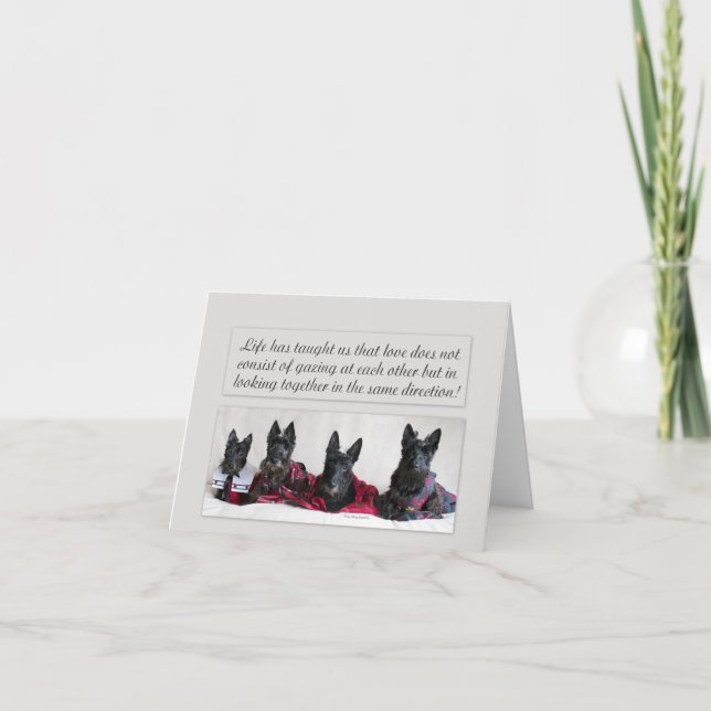 Suche nach Liebe (Vorderseite)