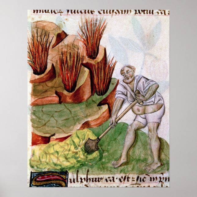 Suche nach Schwefel, Dioscorides' 'De Herbis' Poster (Vorne)