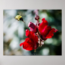 Suche nach süßem Nectar