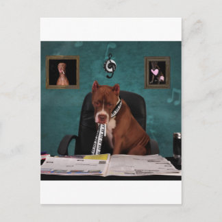 Suche nach Talenten Postkarte