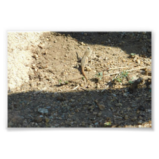 Suche nach Traumzeiten Fotodruck