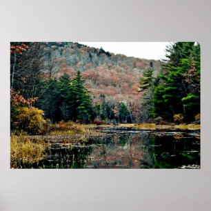 Suche und Plakat finden