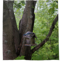 Suchen nach einem Biss, um zu essen Duschvorhang