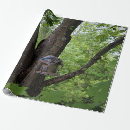 Suchen nach einem Biss, um zu essen Geschenkpapier