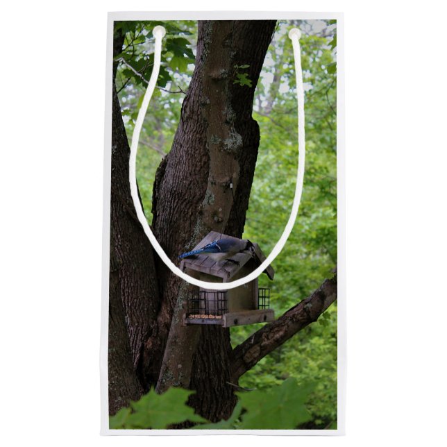 Suchen nach einem Biss, um zu essen Kleine Geschenktüte (Vorderseite)