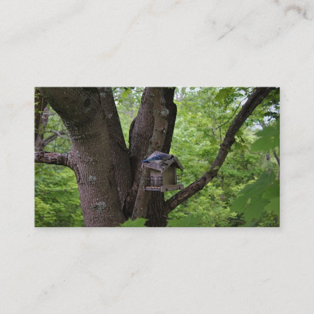 Suchen nach einem Biss, um zu essen Visitenkarte (Vorderseite)