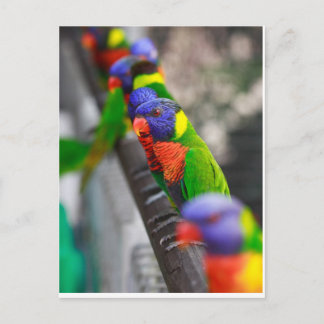 Suchen Sie nach mir? Postkarte