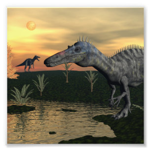 Suchomimus Dinosaurier - 3D übertragen Fotodruck