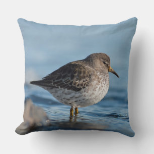 Suchrock Sandpiper Kissen