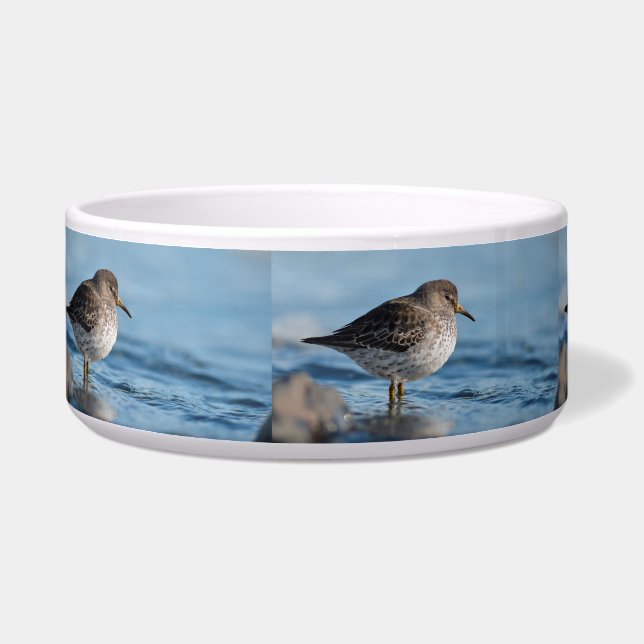 Suchrock Sandpiper Napf (Links)