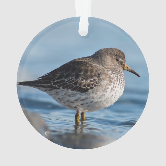 Suchrock Sandpiper Ornament (Rückseite)