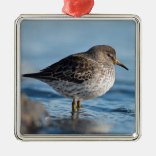 Suchrock Sandpiper Ornament Aus Metall