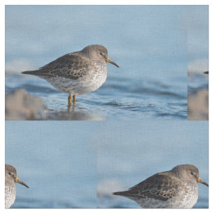 Suchrock Sandpiper Stoff