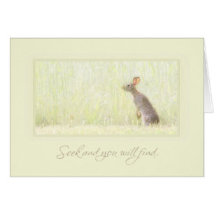 Suchvorgang und Entdeckung