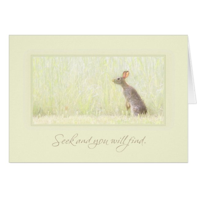 Suchvorgang und Entdeckung (Vorderseite (Horizontal))