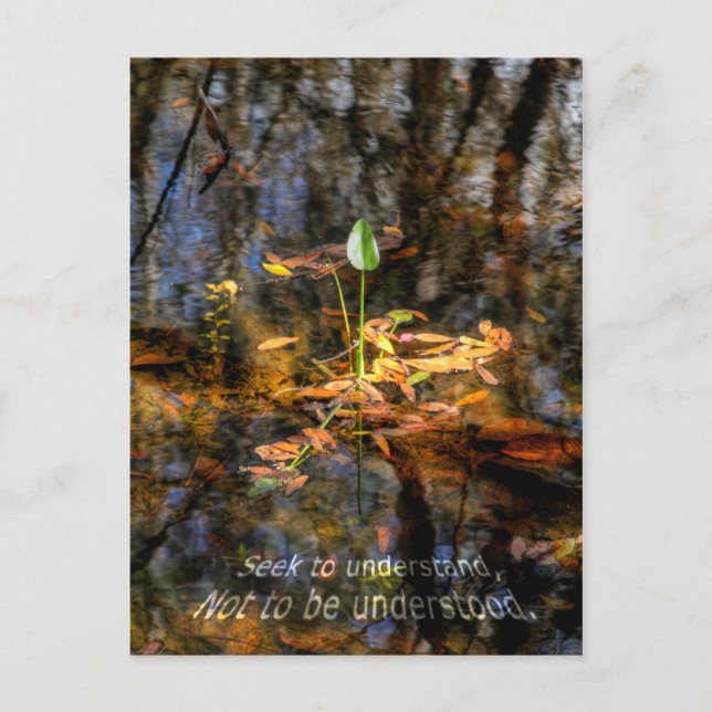 Suchvorgang zum zu verstehen, verstandene postkarte (Vorderseite)