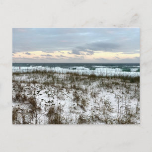 Süd-Carolina Original Reisefotografie Postkarte