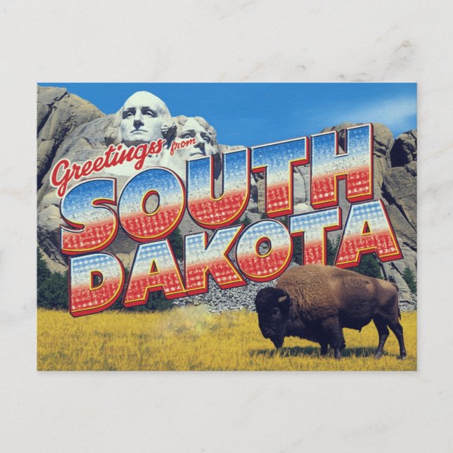 Süd-Dakota Mount Rushmore Bison Postkarte (Vorderseite)