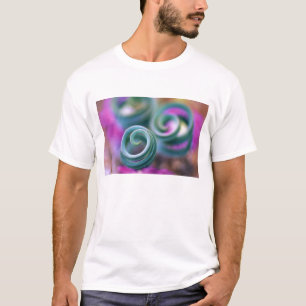 Süd-Namaqualand, gekräuselte Lilienblätter. Credit T-Shirt