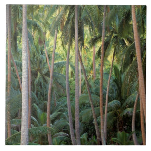 Süd-Pazifik, Französisch-Polynesien, Bora Bora. Fliese