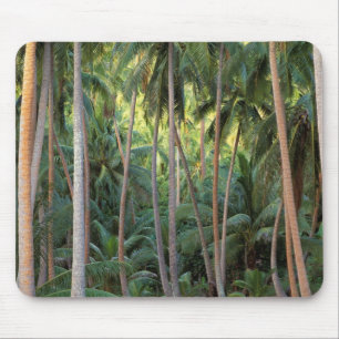 Süd-Pazifik, Französisch-Polynesien, Bora Bora. Mousepad