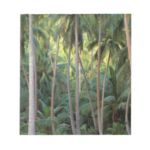 Süd-Pazifik, Französisch-Polynesien, Bora Bora. Notizblock