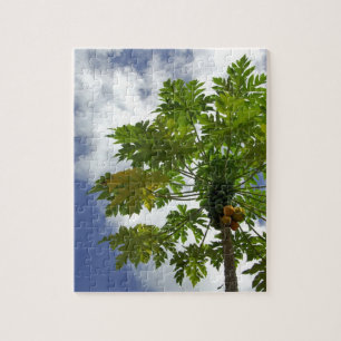 Süd-Pazifik, Französisch-Polynesien, Moorea. 2 Puzzle