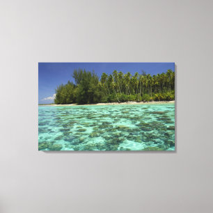 Süd-Pazifik, Französisch-Polynesien, Moorea 3 Leinwanddruck