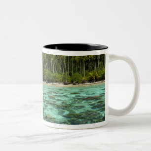 Süd-Pazifik, Französisch-Polynesien, Moorea 3 Zweifarbige Tasse