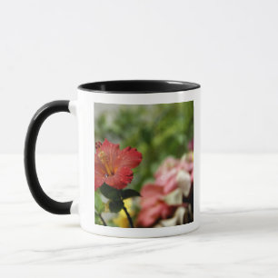 Süd-Pazifik, Französisch-Polynesien, Society 2 Tasse