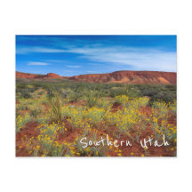 Süd-Utah-Wildblumen