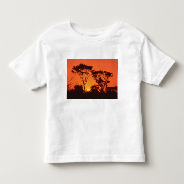 Südafrika.  afrikanischer Sonnenuntergang Kleinkind T-shirt (Vorderseite)