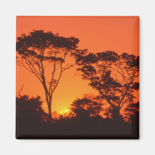 Südafrika. Afrikanischer Sonnenuntergang. Magnet