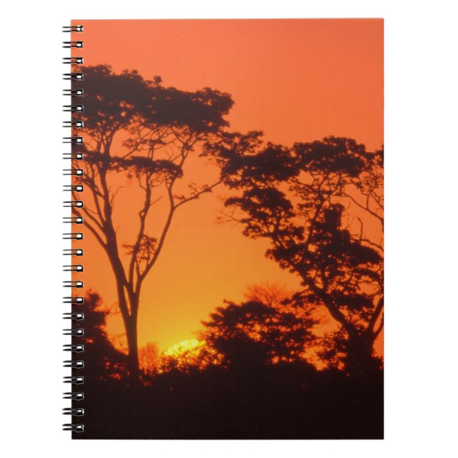 Südafrika.  afrikanischer Sonnenuntergang Notizblock (Vorderseite)