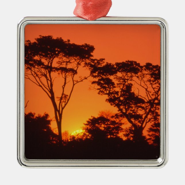 Südafrika.  afrikanischer Sonnenuntergang Ornament Aus Metall (Vorne)