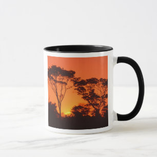 Südafrika. Afrikanischer Sonnenuntergang. Tasse