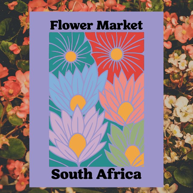 Südafrika-Blumenmarkt Farbige Proteas Postkarte (South Africa Flower Market Colorful Proteas Postcard
)