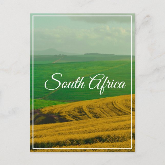 Südafrika Canola Fields Hills Landschaft Natur Postkarte (Vorderseite)