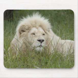 Südafrika, East London, Inkwenkwezi Private Mousepad