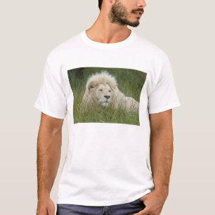 Südafrika, East London, Inkwenkwezi Private T-Shirt