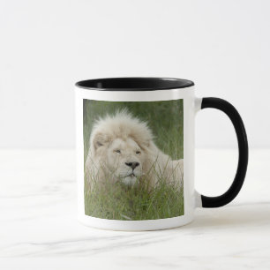 Südafrika, East London, Inkwenkwezi Private Tasse
